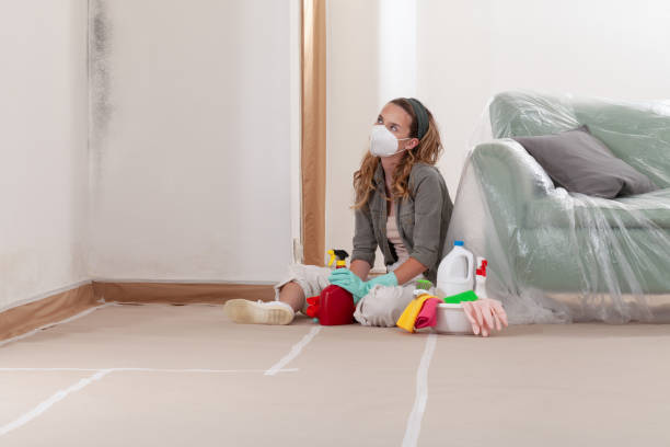 Reliable Basement Mold Removal contractor in Bogota, NJ by WQB Mold Removal